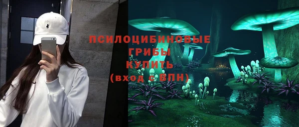 трава Балахна